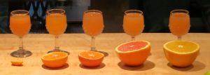 From left to right: kumquat, satsuma, Fairchild tangerine, cara cara navel orange, heirloom navel orange